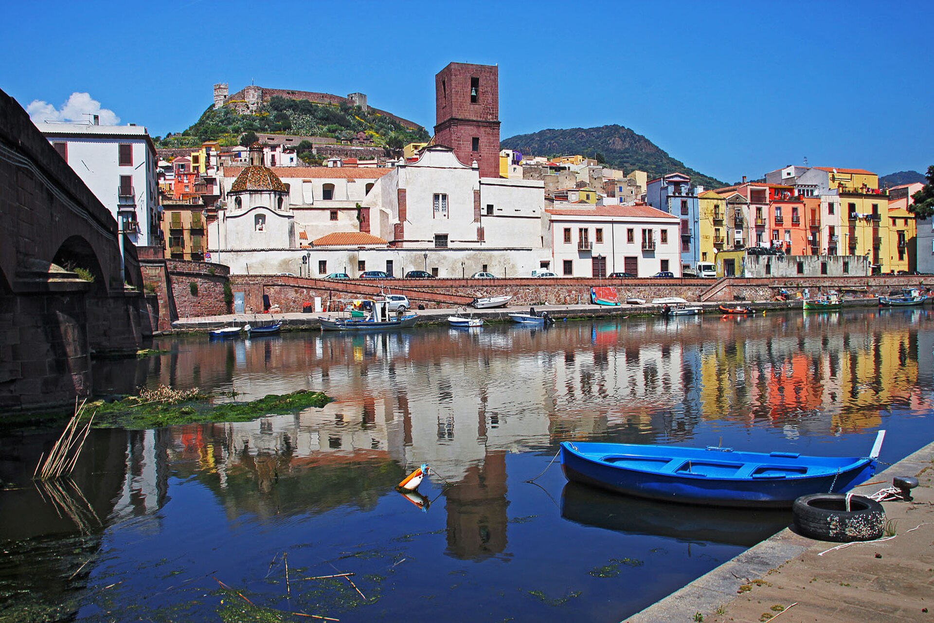 Bosa